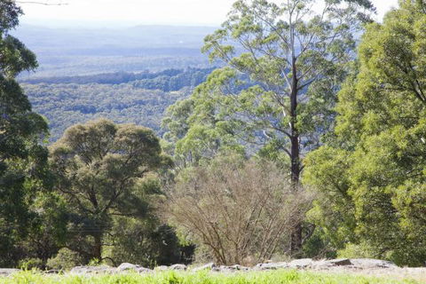The Jungle Lodge, Blue Mountains Botanic Gardens - Accommodation Melbourne 6