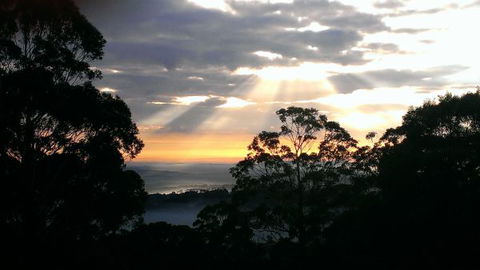 The Jungle Lodge, Blue Mountains Botanic Gardens - Accommodation Melbourne 8