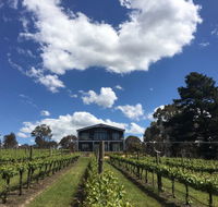 Mortimer's Accommodation amongst the Vines - Accommodation Melbourne