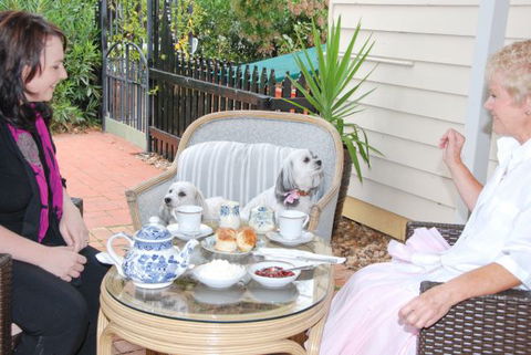 Must Love Dogs B&B And Self-Contained Cottage - Accommodation Melbourne 2