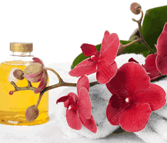 Sunny Hill Retreat Accommodation  Day Spa - Accommodation Melbourne