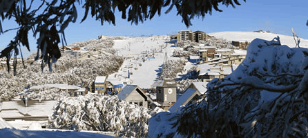 Alpine Ridge Lodge - Accommodation Melbourne 0