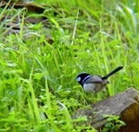 Morialta Bed And Breakfast - Accommodation Melbourne