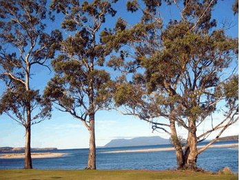 Island View Motel - Accommodation Melbourne 3