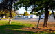 Port Lincoln Tourist Park - thumb 1