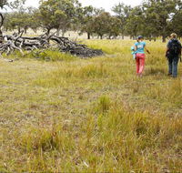 Carnarvon National Park camping - Accommodation Melbourne