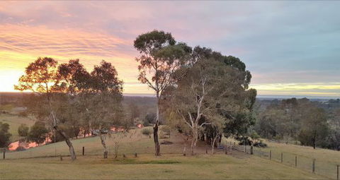 Blueberry Hills On Comleroy - Accommodation Melbourne 9