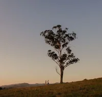 Faulls Ridge Winery - Accommodation Melbourne