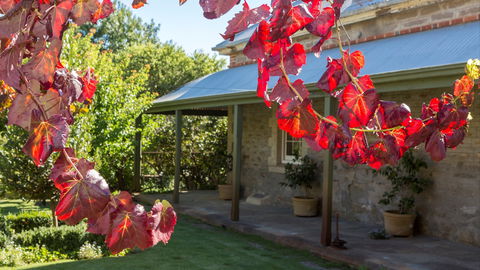 Grand Cru Estate Homestead - Accommodation Melbourne 0