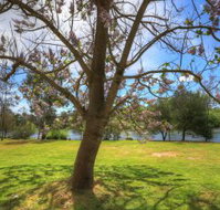 Breakaway Twin Rivers Caravan Park - Accommodation Melbourne
