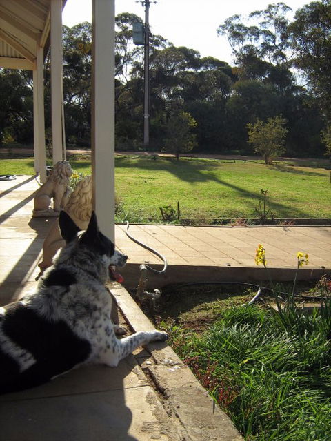 Great Grandpa Henry Retreat - Accommodation Melbourne 4