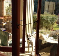 Mara Ponds Branxholm - Accommodation Melbourne