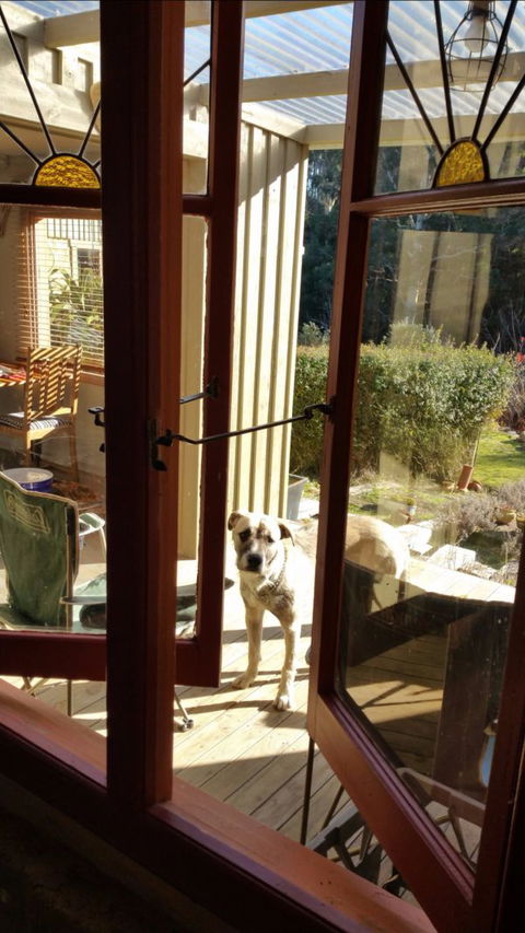 Mara Ponds Branxholm - Accommodation Melbourne 0