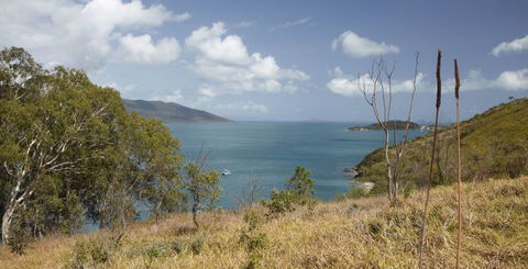 Molle Island National Park (Whitsundays National Park) Camping Ground - Accommodation Melbourne 1