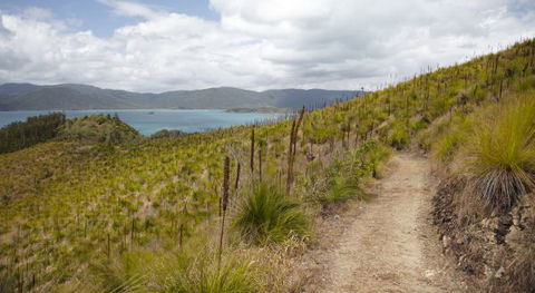 Molle Island National Park (Whitsundays National Park) Camping Ground - Accommodation Melbourne 2