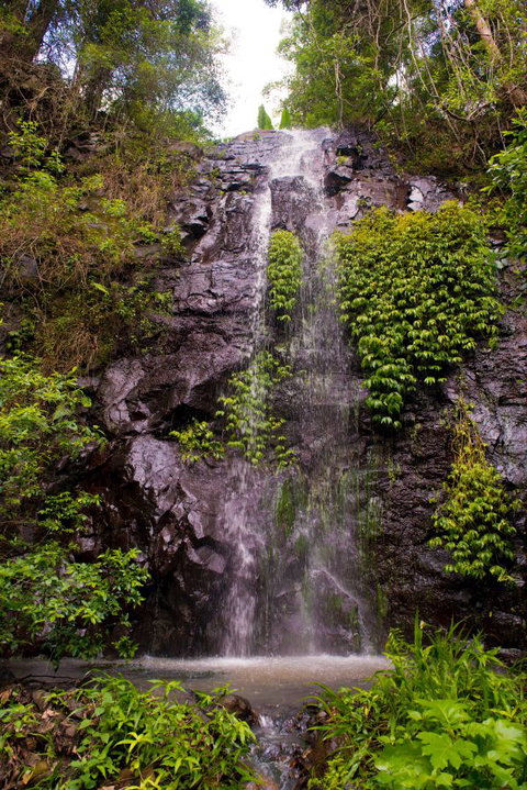 Nimbin Waterfall Retreat - Accommodation Melbourne 0
