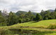 Nimbin Waterfall Retreat - thumb 3