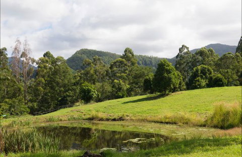 Nimbin Waterfall Retreat - Accommodation Melbourne 3