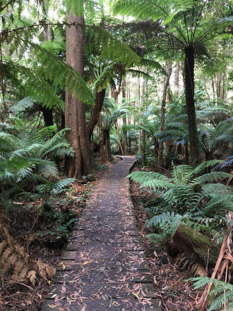 Woodland Mirth Holiday Retreat - Accommodation Melbourne 8