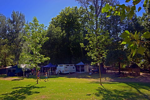 Ardern's Caravan Park Myrtleford - Accommodation Melbourne 0