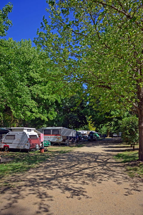 Ardern's Caravan Park Myrtleford - Accommodation Melbourne 1