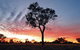 Cunnamulla Tourist Park - thumb 3