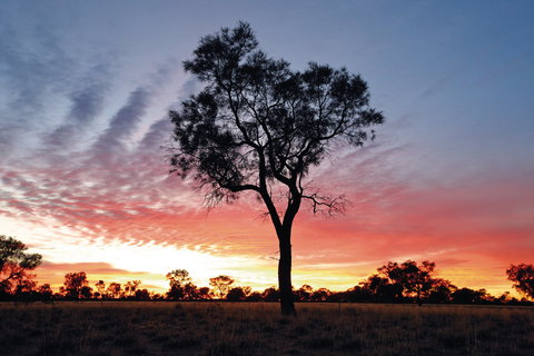 Cunnamulla Tourist Park - Accommodation Melbourne 3