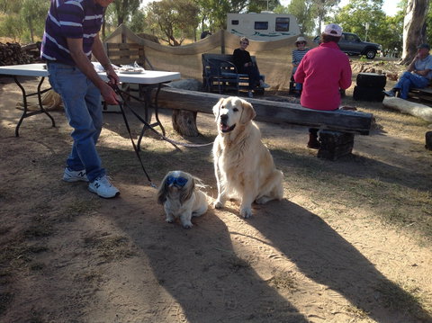 Cunnamulla Tourist Park - Accommodation Melbourne 4