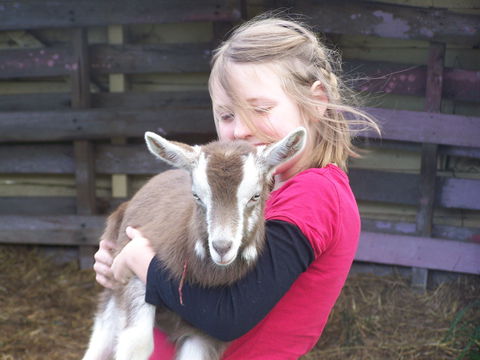 Eden Orchard And Farmstay - Melbourne 4u 3