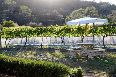 Every Man And His Dog Vineyard - Accommodation Melbourne 1