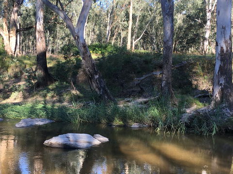 Highfield Farm And Woodland Bush Campsites - Accommodation Melbourne 1