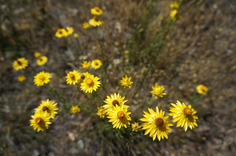 Highfield Farm And Woodland Bush Campsites - Accommodation Melbourne 3