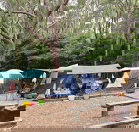 Pebbly Beach campground - Yuraygir National Park - Accommodation Melbourne