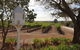 'In The Vines' Guest Cottage - thumb 0