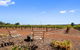 'In The Vines' Guest Cottage - thumb 8