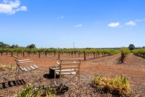 'In The Vines' Guest Cottage - Accommodation Melbourne 8