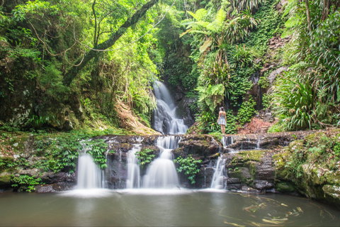 O'Reilly's Rainforest Retreat - Accommodation Melbourne 0