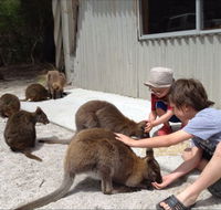 The Patriarch Wildlife Sanctuary Camping Ground - Accommodation Melbourne