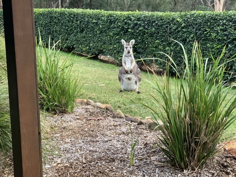 Wild Edge Retreat - Accommodation Melbourne 9