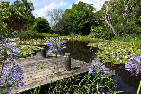 Yellow Dog Cottage - Accommodation Melbourne 6