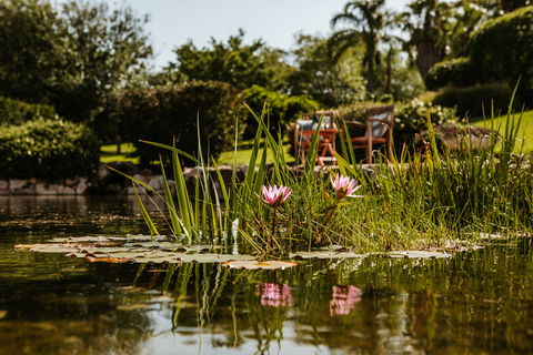 Yellow Dog Cottage - Accommodation Melbourne 8