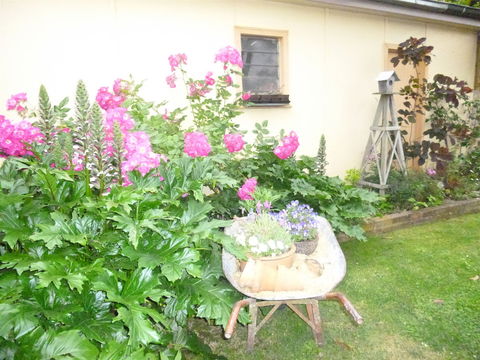 Aggies Bed And Breakfast - Accommodation Melbourne 2