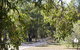 Bandalong Cottages - thumb 9