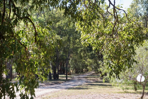Bandalong Cottages - Accommodation Melbourne 9