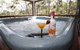 Banjos Bushland Retreat - thumb 2