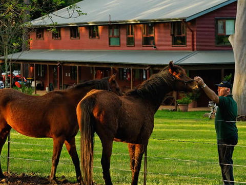 Bilpin Country Lodge - Accommodation Melbourne 3