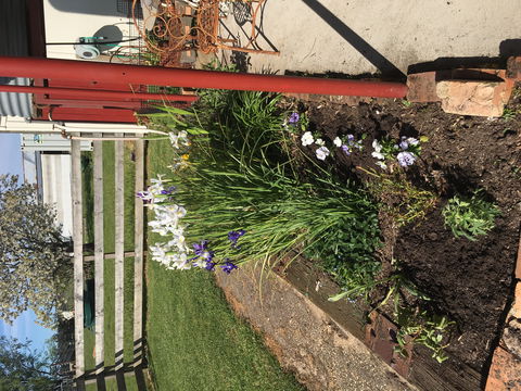 Fairview Bed And Breakfast Cottage - Accommodation Melbourne 2