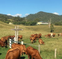 Farringdon Homestead - Accommodation Melbourne