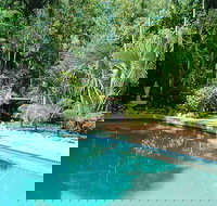 Grungle Downs Tropical Bed and Breakfast - Accommodation Melbourne