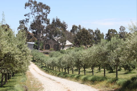 L'Oliveraie - Accommodation Melbourne 2